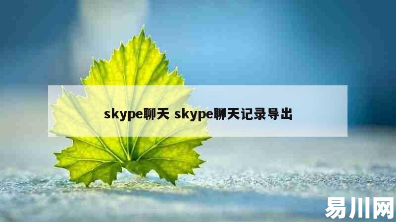 skype用中文怎么说的简单介绍