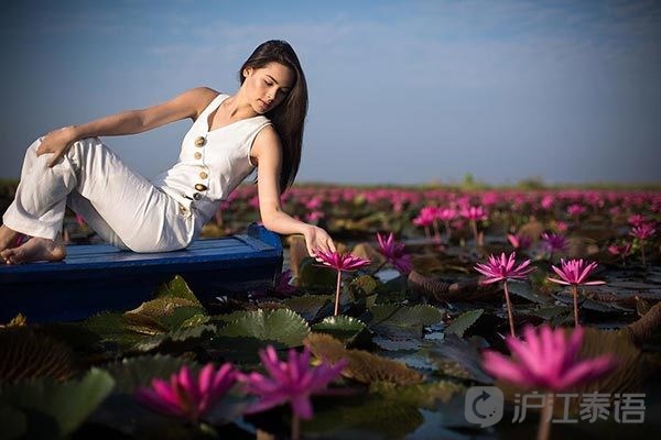 红莲花音译中文、红莲华歌词谐音翻译