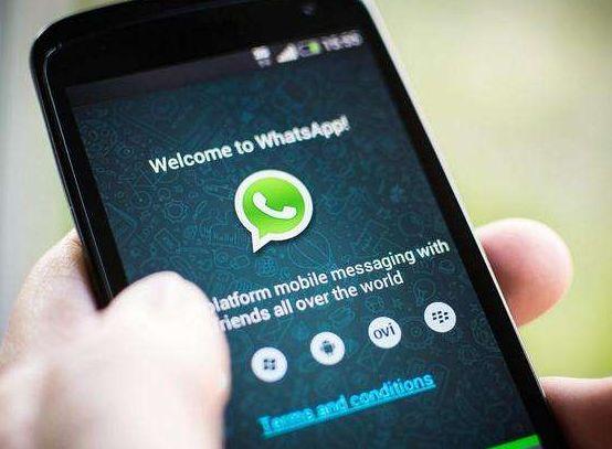 whatsapp无法收到验证短信、whatsapp收不到登录验证短信