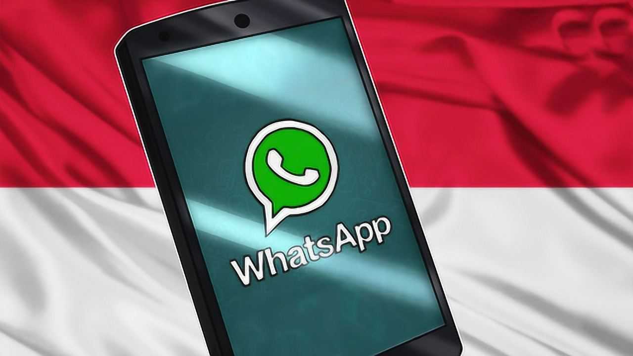 whatsapp官方网下、whatsapp官方网下载手机版