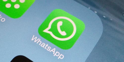 whatsapp下载安卓最新版本、whatsapp安卓最新版本下载2024