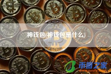 币圈公认最安全的钱包、币圈公认最安全的钱包中文