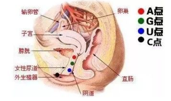 如何获取u点，如何快速获得u点