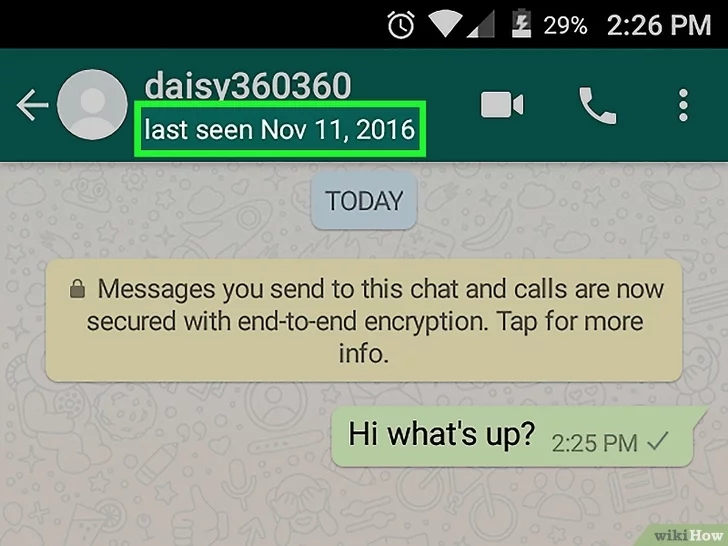 whatsapp英文怎么翻译成中文，whatsapp怎么直接在软件中译英