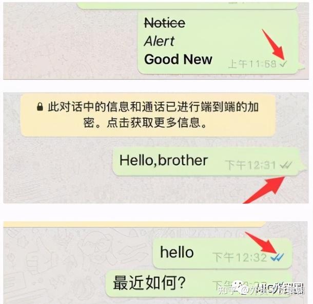 包含whatsapp如何加入别人的群聊的词条