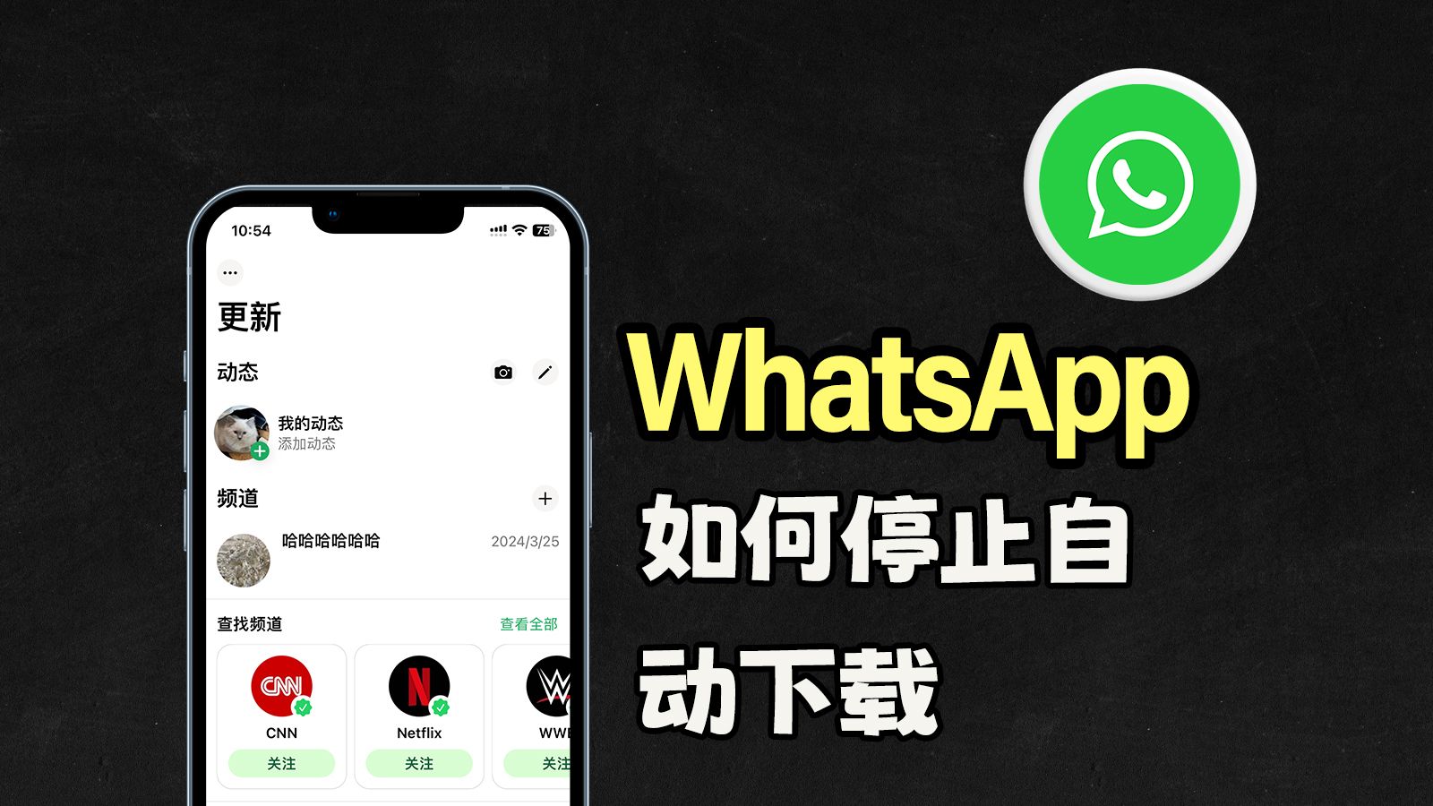 whatsapp下载app，印尼聊天软件WHATSAPP下载