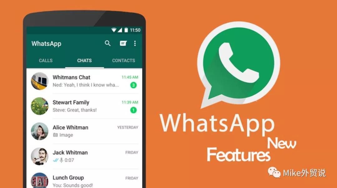 whatsapp下载app，印尼聊天软件WHATSAPP下载