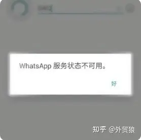 为什么下载的whatsapp打不开，whatsapp下载安装后为什么不能用