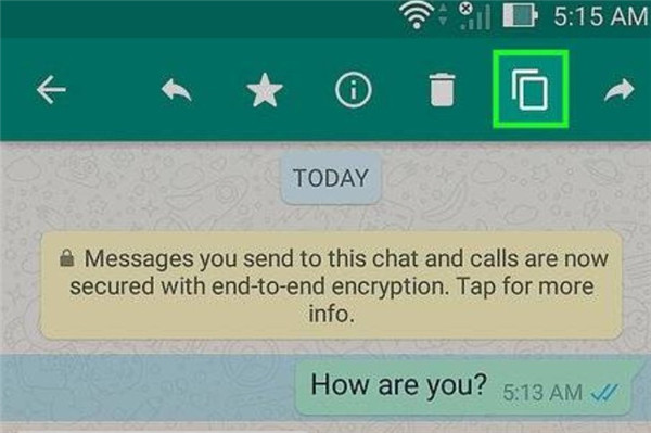 whatsapp安卓版下载2024，whatsapp安卓版下载2018版