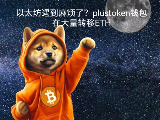 token钱包，怎么下载token钱包