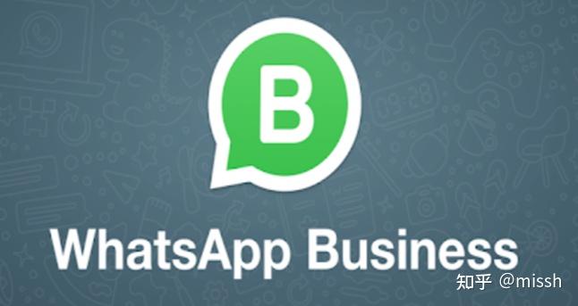 whatsapp怎么读音标，whatsapp怎么读中文谐音