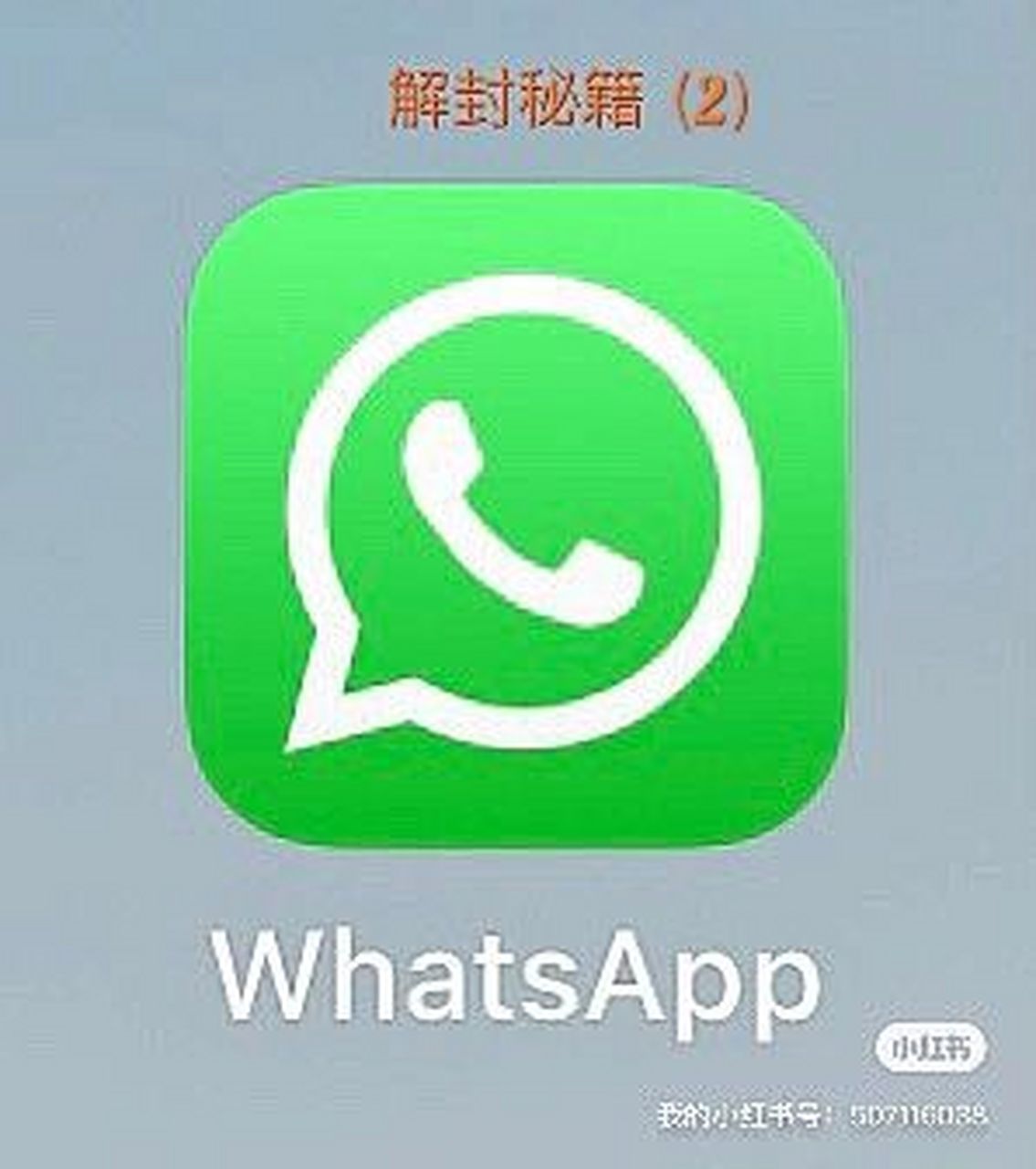 whatsapp中文版官方网下载，whatsapp官方安卓中文版下载