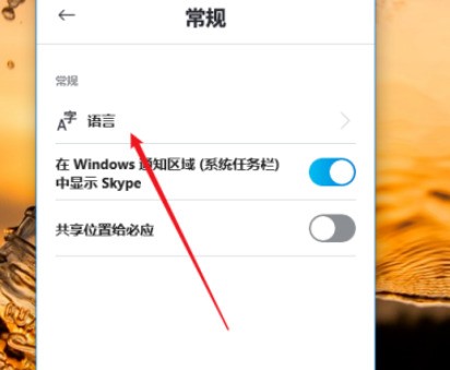 skype是什么软件，skype是什么软件安全吗