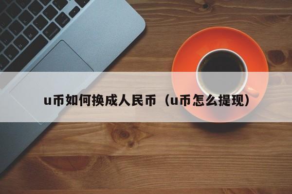 token钱包里面的币怎么换成人民币，tokenpocket的币如何转成人民币