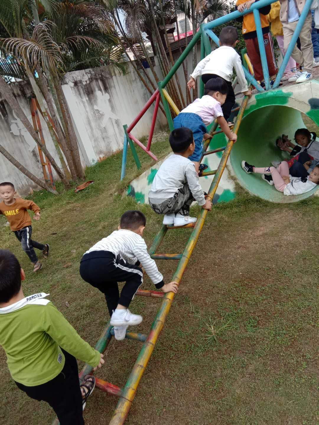 爬上梯子怎么写，爬上梯子的爬怎么写