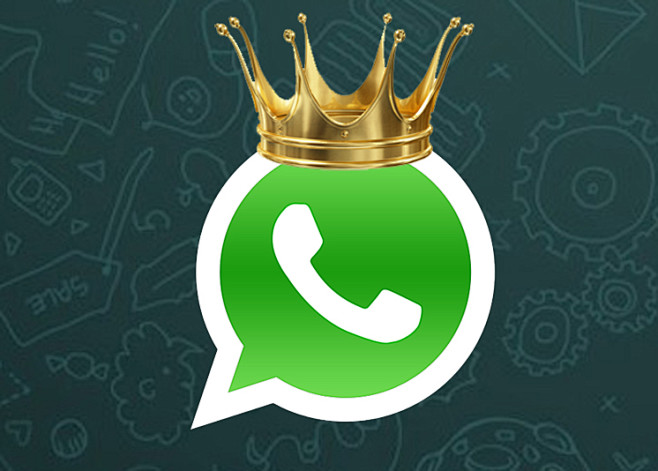 whatsapp照片原图，whatsapp的照片怎么设置不保存相册