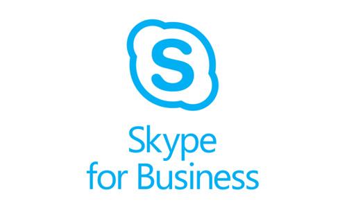 skype下载安卓中文版，skype安卓版下载 v8150386官方版