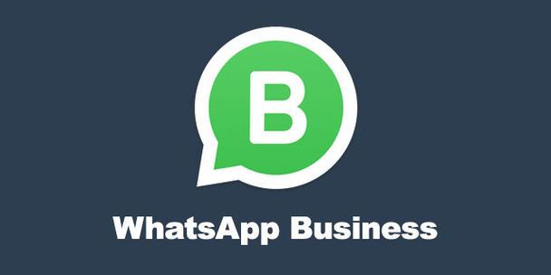 whatsapp安卓下载安装包，whatsapp安卓版官方下载2020