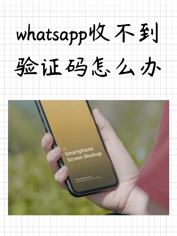 whatsapp收不到手机验证码，whatsapp 手机号码无法接收验证码