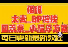 大麦钱包小程序，大麦钱包怎么样才能下款