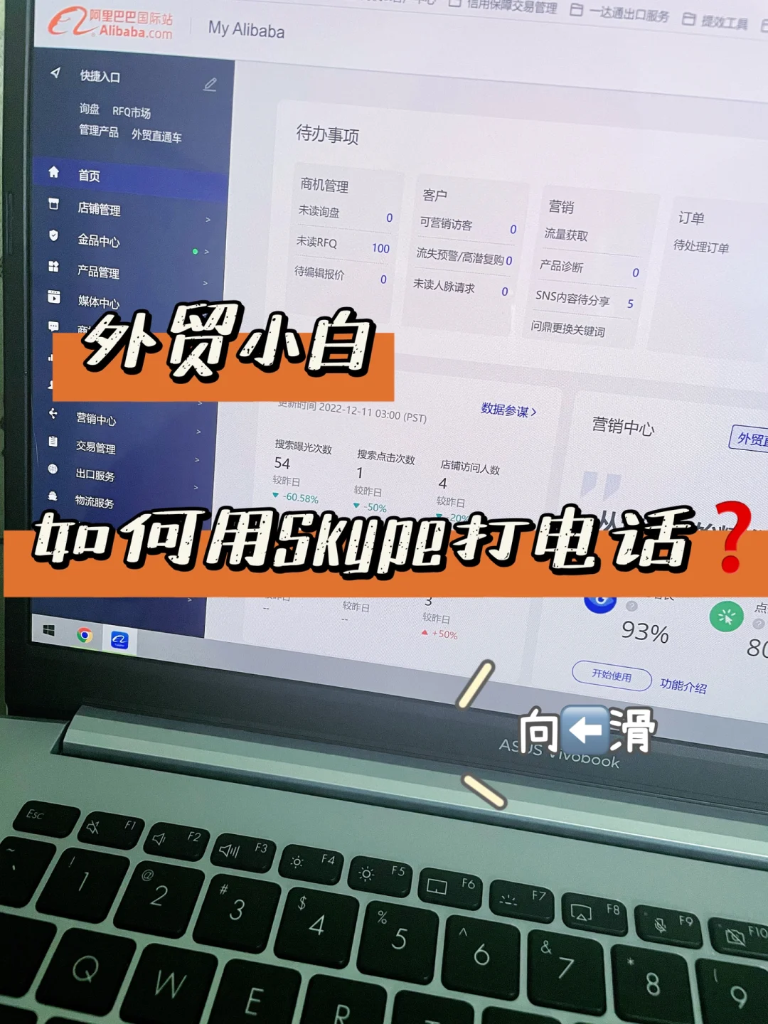 skype什么意思，skypephone什么意思