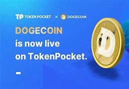 tokenpocket钱包下载局，token pocket钱包下载不了