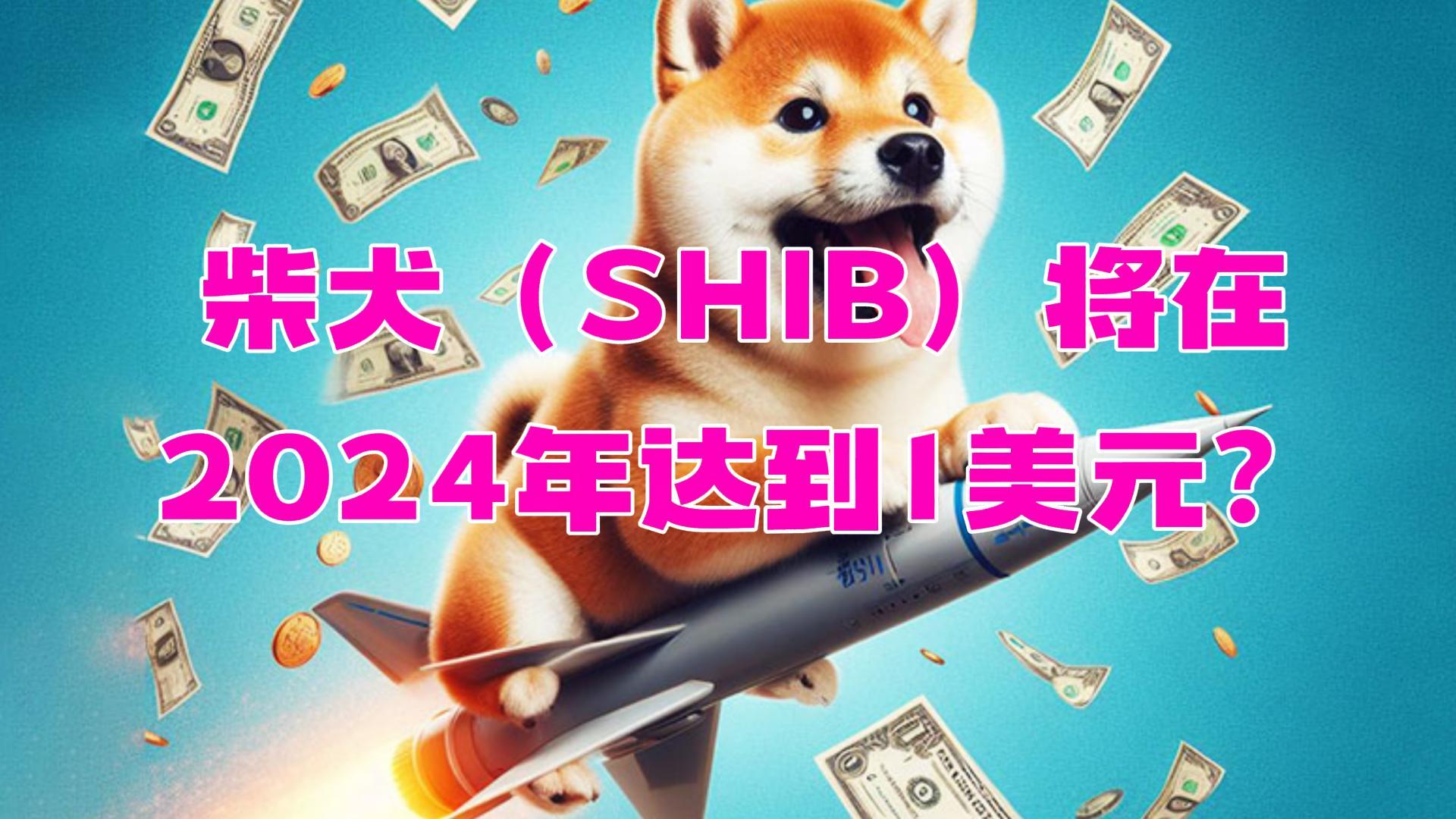 shib币是哪个国家的，shib币是哪个国家的人发行的