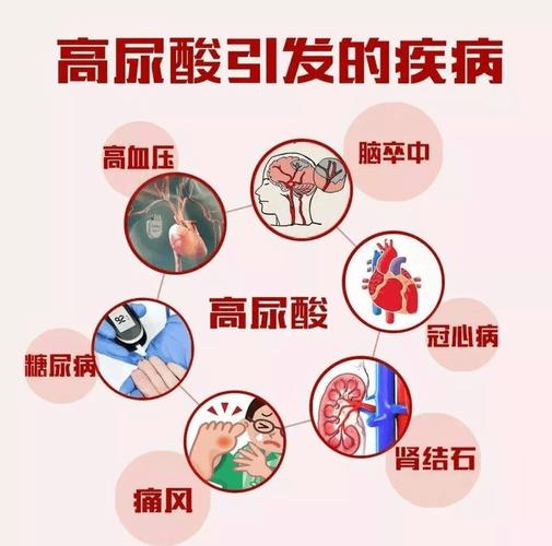 什么是尿酸？通俗解读尿酸对健康的影响