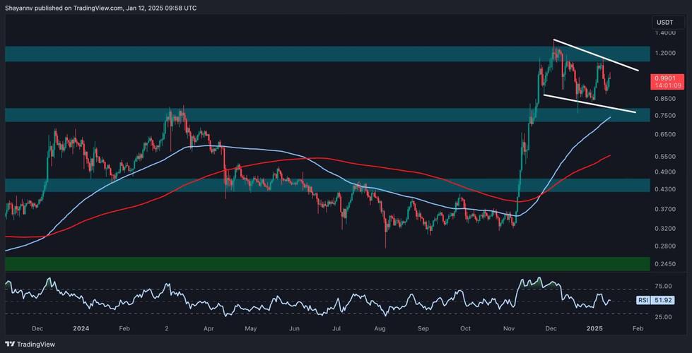 艾达币能否涨到100美金？深度解析影响价格的关键因素
