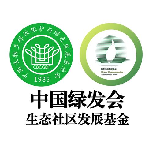 以太环保基金会：推动可持续发展的区块链创新与环保行动