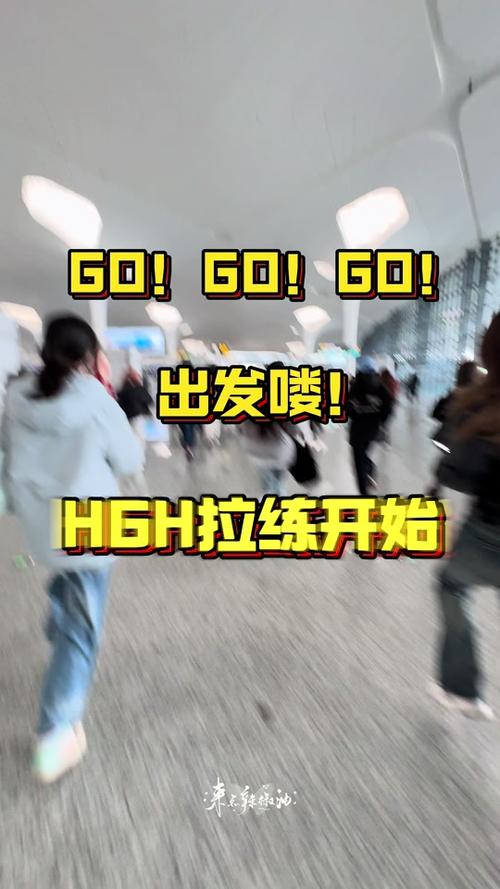 gogogo出发喽：体验便捷高效的出行方式与优惠活动