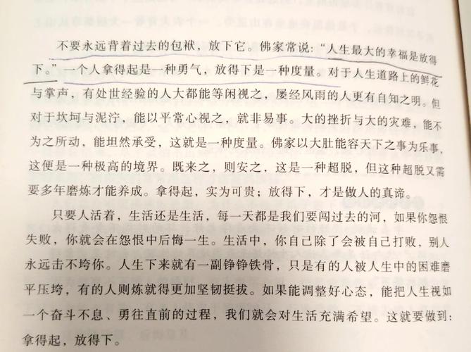 深入探讨《铁骨》小说的勇气与人性