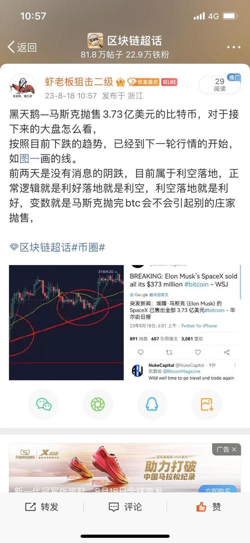 比特币马斯克最新消息：揭秘数字货币的未来与市场影响