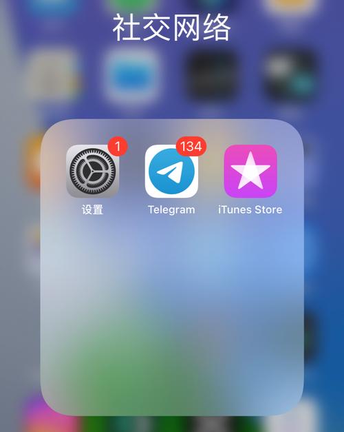 纸飞机电脑端中文,纸飞机软件设置中文
