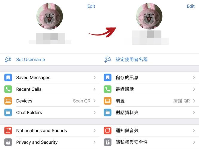 关于飞机telegraph下载的信息