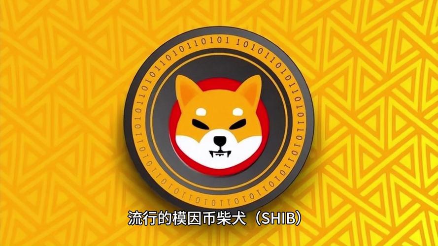 柴犬币最新价格及图片,柴犬币最新价格及图片大全